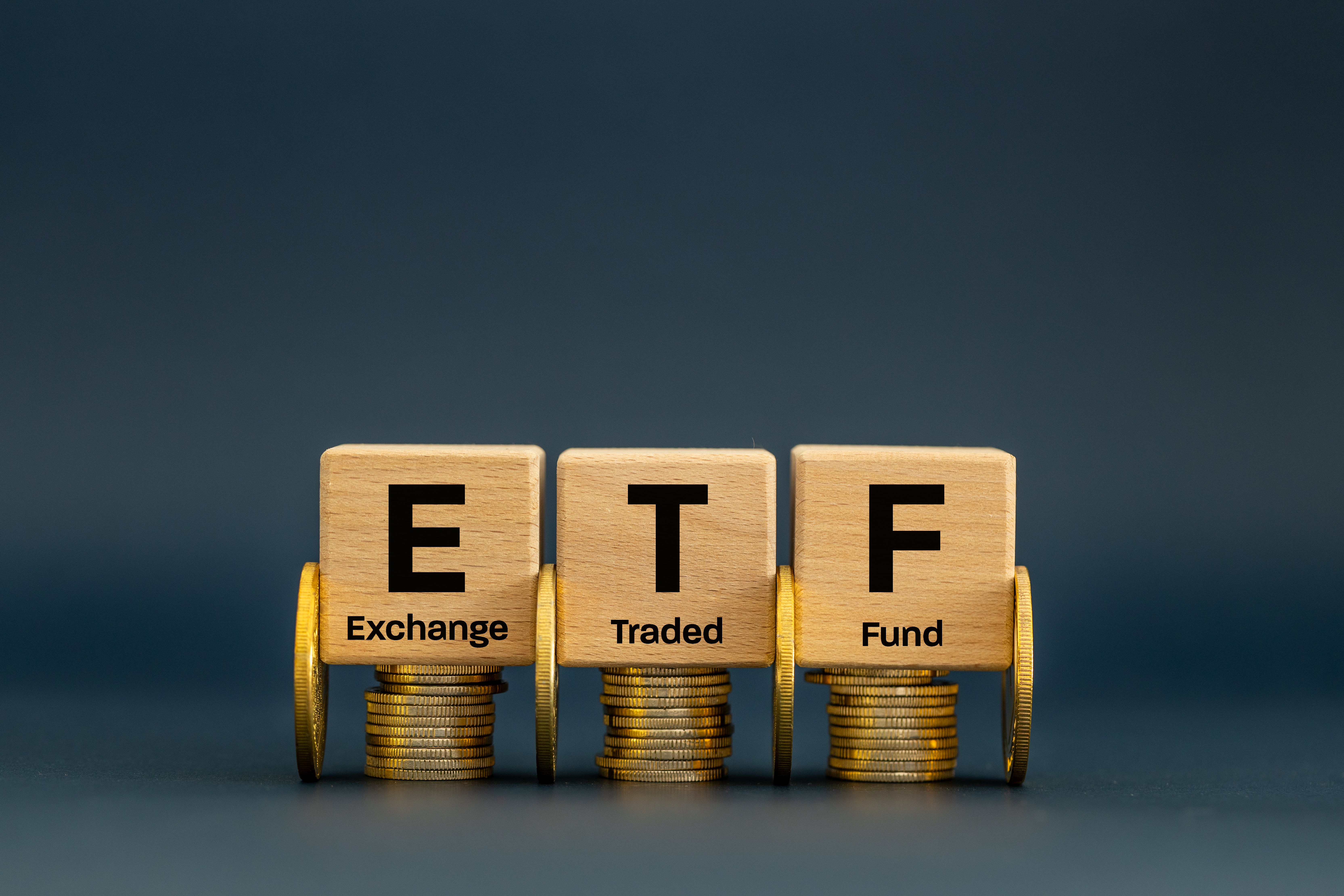 【不配息ETF】009816、004...