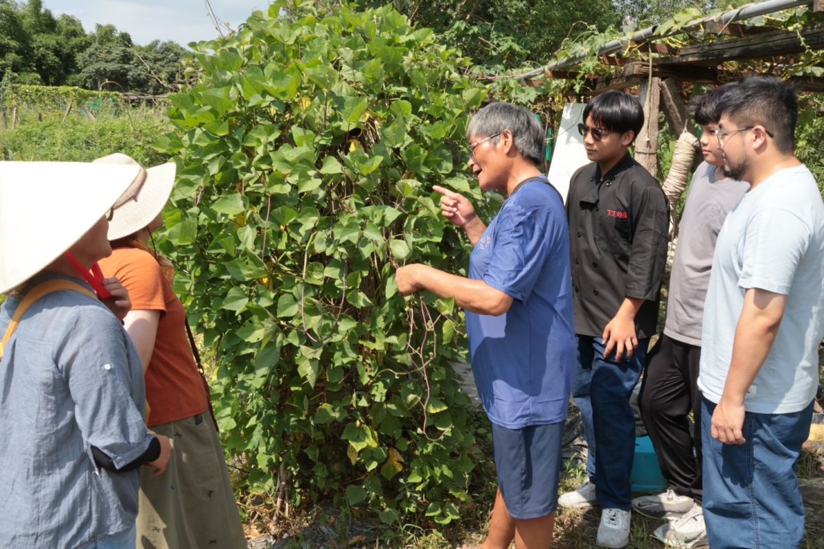 Lipahak野菜好市開市　三峽農園...