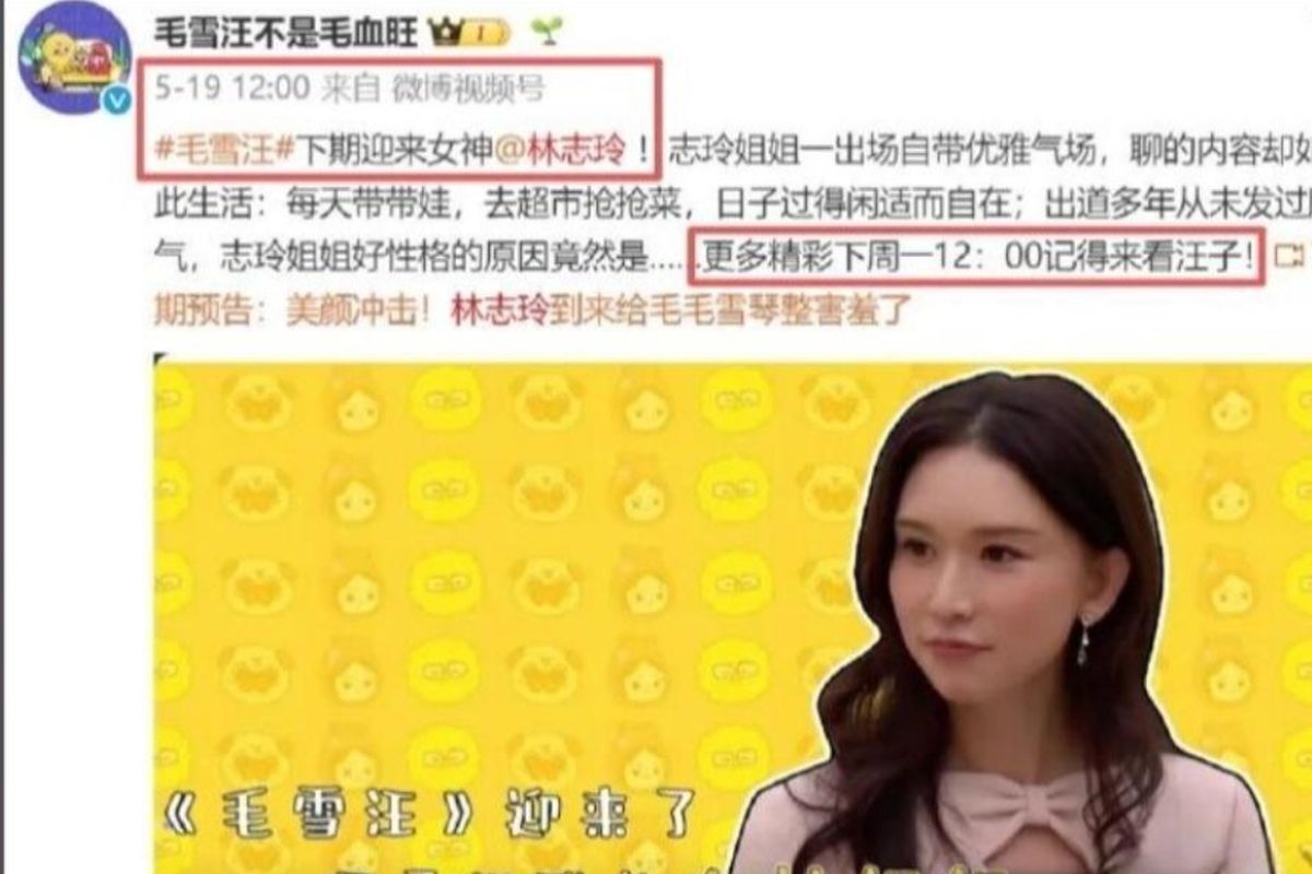沒接文策院董事也有事　林志玲疑遭大陸全面封殺