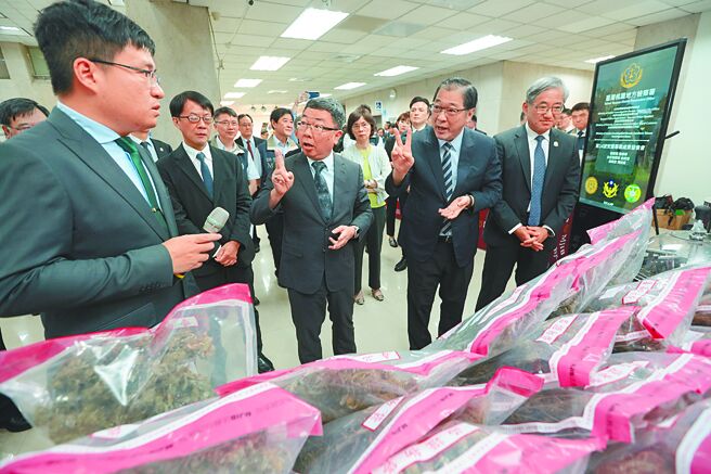 嚴打依托咪酯 19天逮547人