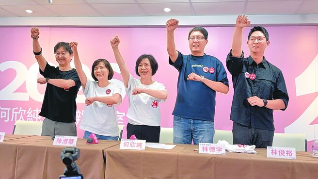 婦幼、交通、治安 何欣純拚六星市政