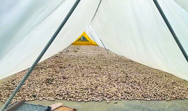 農業部不保價收購 擬推台灣標章