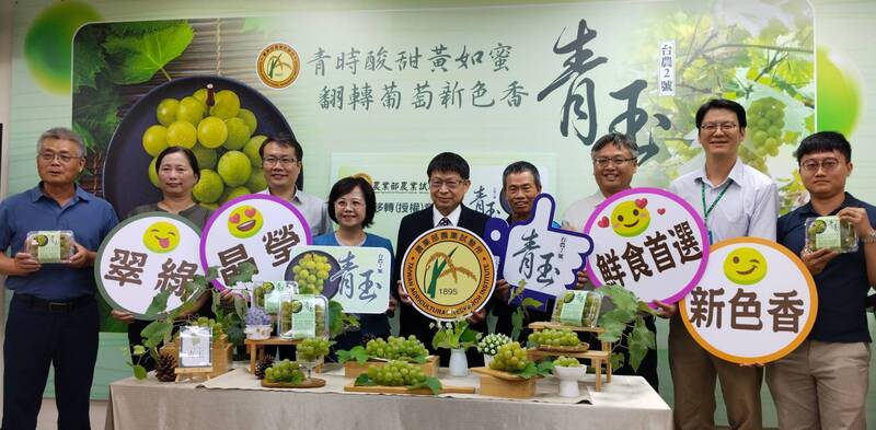 新品種葡萄「青玉」發表 (圖)