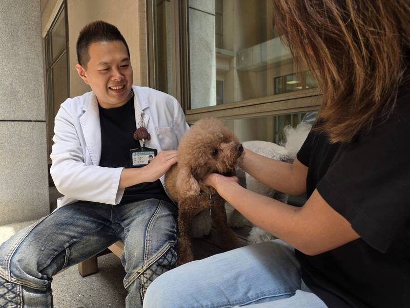 陪伴犬萌力無法擋　大千南勢醫院納精神復健治療課 (圖)
