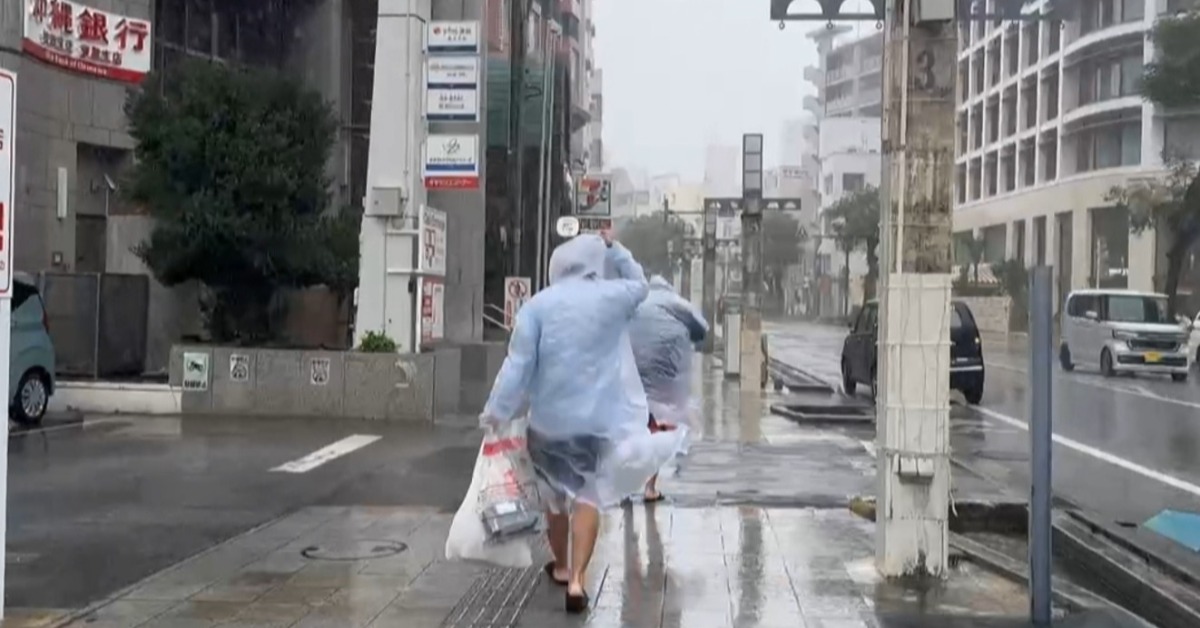 獨家／薔蜜逼近沖繩！市區路樹狂搖、自...