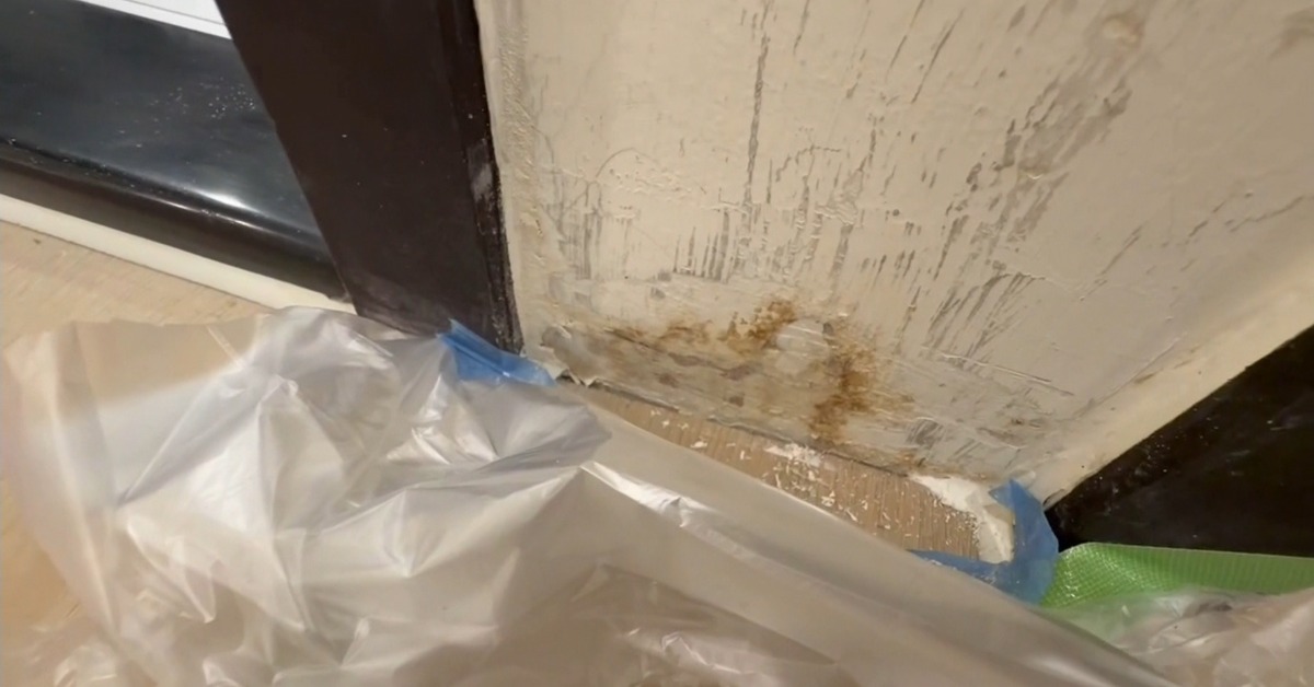 新房有壁癌、蟲子屋主要求換屋 建商：...