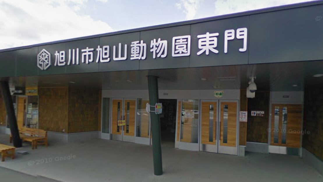 旭山動物園爆焚屍案！男員工坦承燒妻數小時：恐連骨頭都不剩