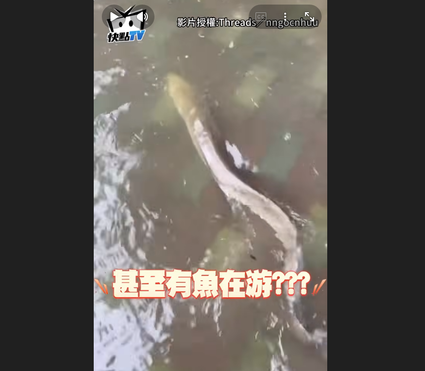 賴清德批內湖淹水翻車！網友掀：台南校...