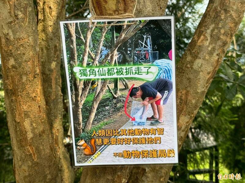 大坑一票人想看獨角仙卻被「整箱打包」...