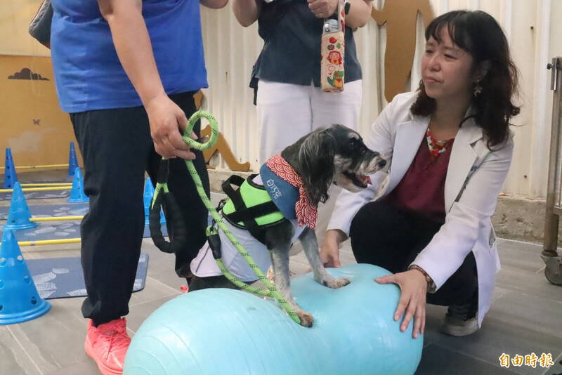 新北打造首座動物長照園區 中和動物之...