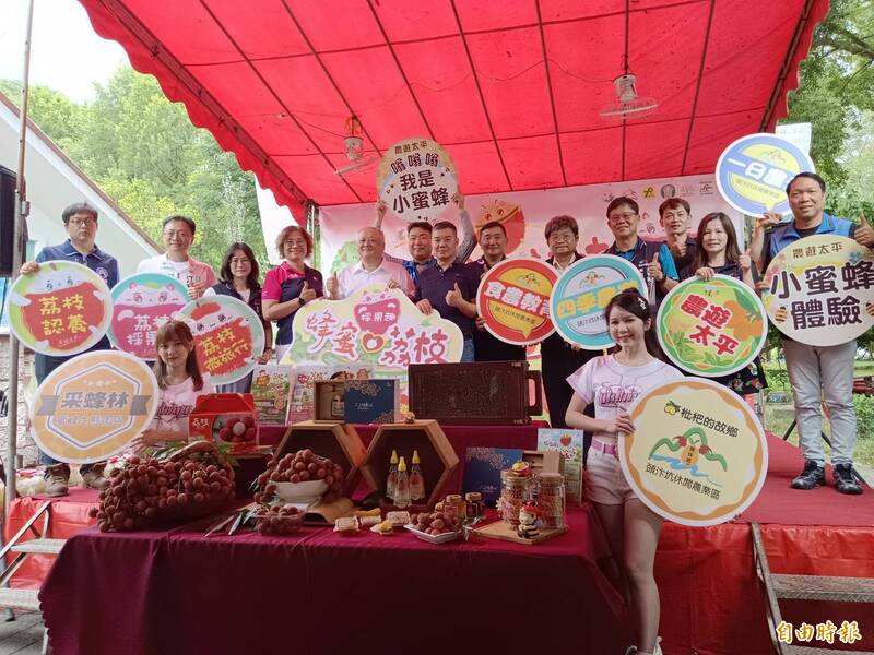 台中太平荔枝節登場 荔枝採果趣、蜂蜜...