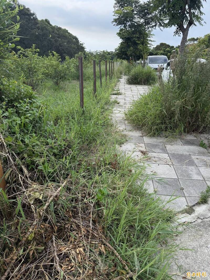 竹市青青草原變荒涼 民眾感嘆：不用4...