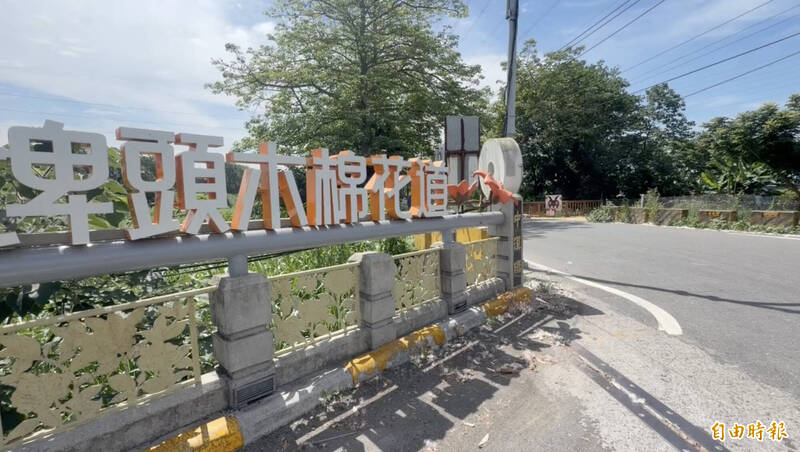 5月雪成災？彰化東螺溪木棉花苞腐爛鋪...