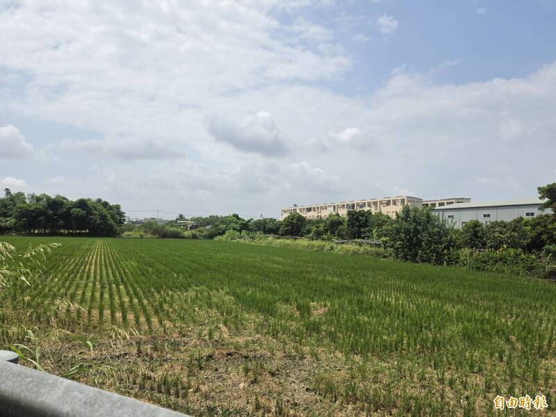 高鐵延伸整合鳳山至九曲堂鐵路立體化 高市鳳山、大寮交界處將設雙鐵共構站