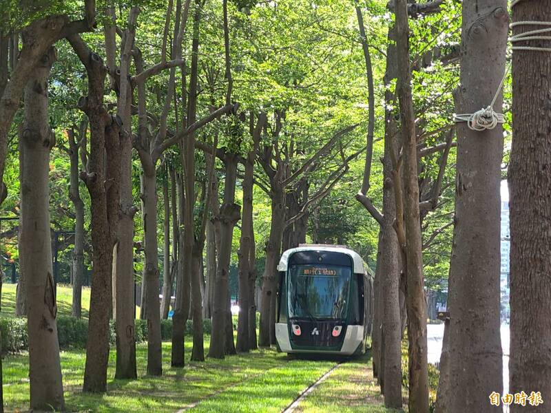 AI緊盯高雄輕軌「綠色隧道」 每小時回報有無歪斜