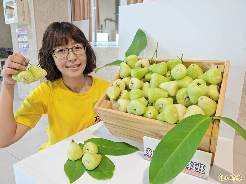 鮮嘗翠玉寶石 台南新市白蓮霧節系列活動接力登場