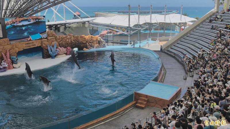 花蓮海洋公園轉型守護基地仍見海豚跳躍...