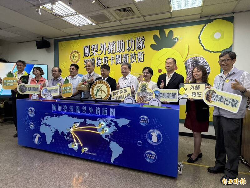 農試所組外銷助攻隊降蟲害薰蒸率 今年鳳梨外銷量拚2萬噸
