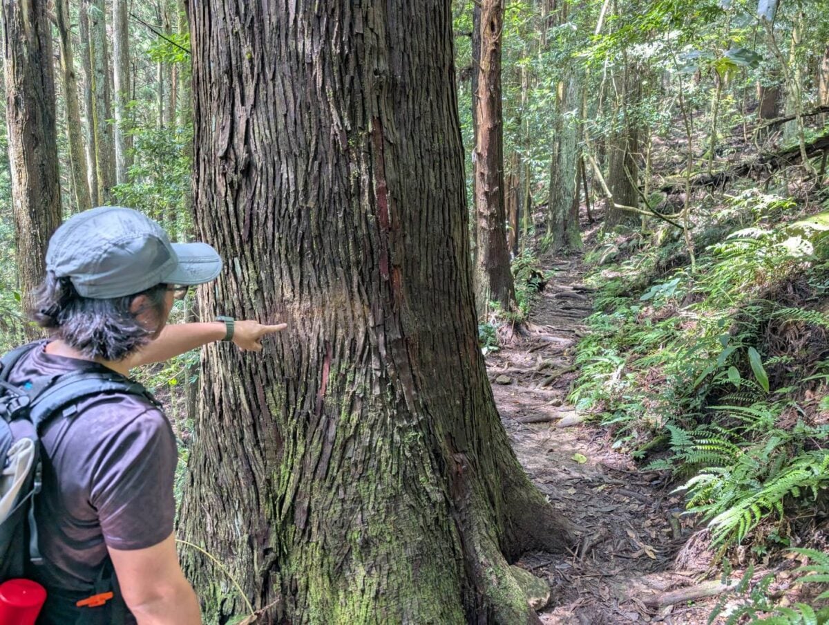 登山離線地圖、簡易路標都要學 認路、...