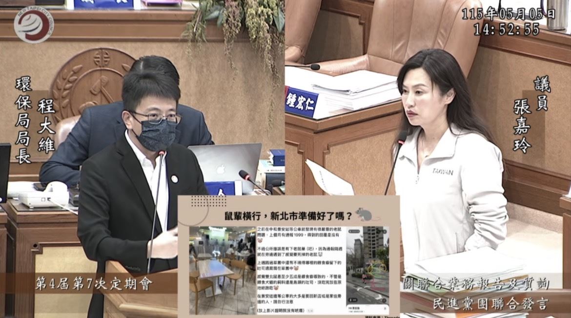 鼠患燒新北？張嘉玲曝「老鼠現蹤中和」...