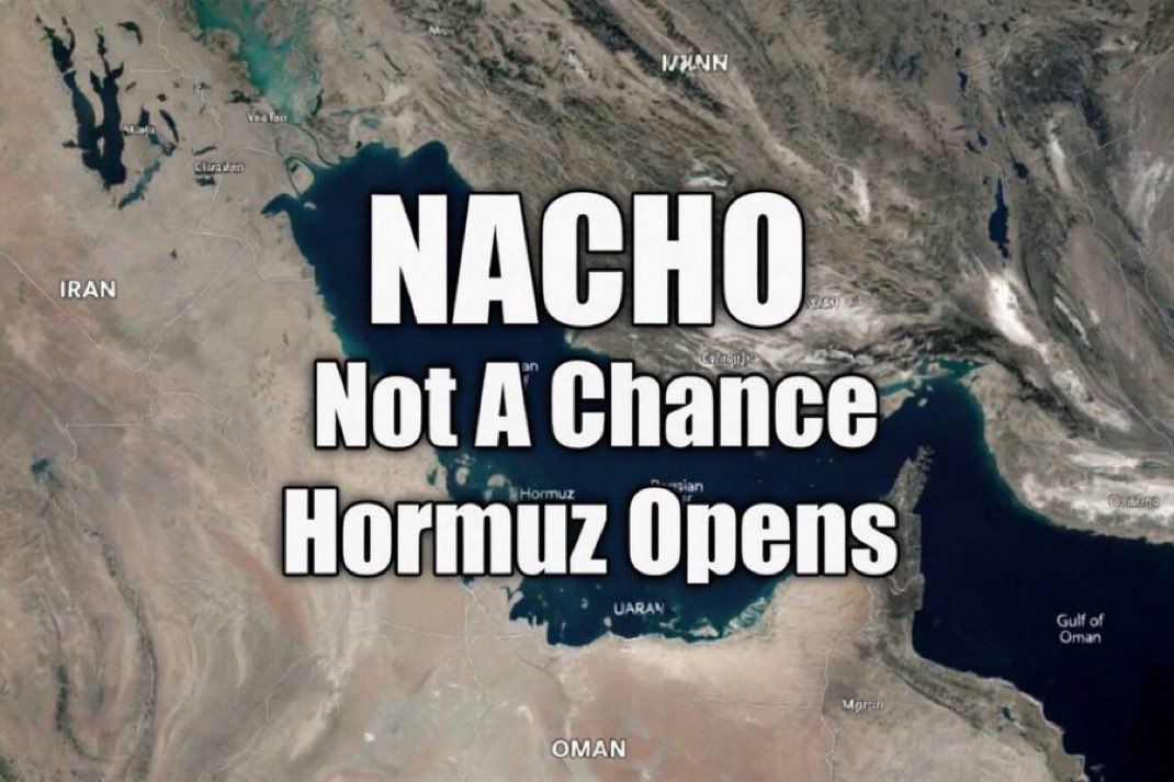 TACO過時！華爾街因3大邏輯　改押注NACHO