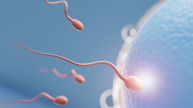 男性注意！美國研究：空污影響「精子D...