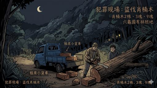 山老鼠栽了！租車夜襲六龜靈象山盜伐千...