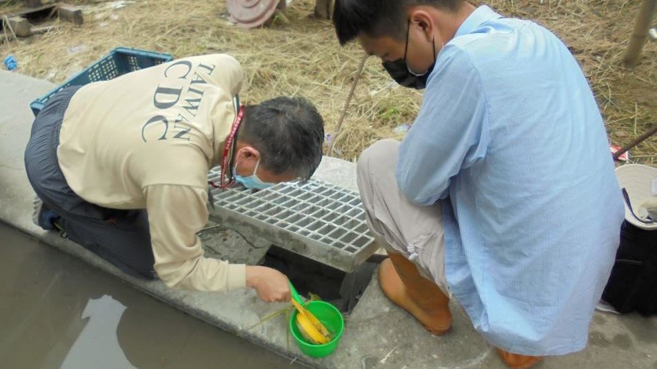 快訊／高雄出現登革熱「醫院群聚」7旬女2次住院確診 相鄰病室4人也陽性
