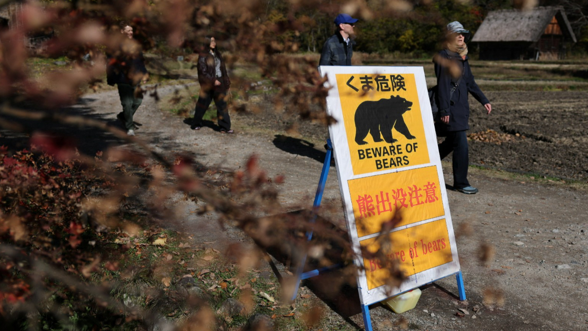 日本岩手警察遭熊攻擊　現場還發現一具遺體