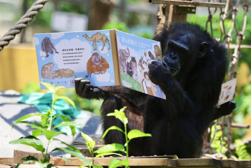 壽山動物園特製「藏食瓦楞紙書」 (圖)