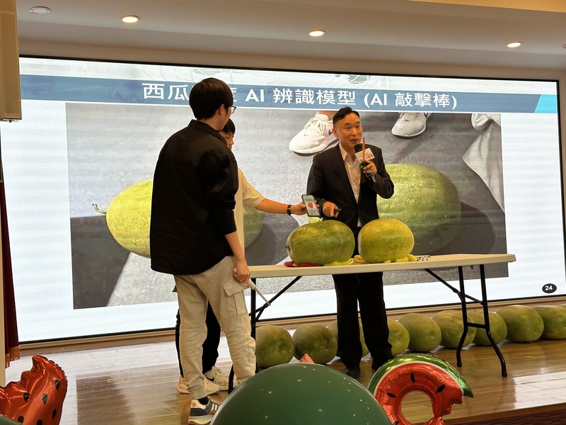 應用AI系統　敲擊棒測試花蓮大西瓜成熟度 (圖)