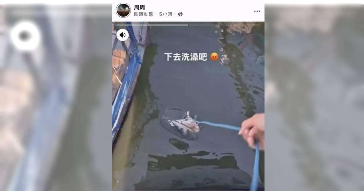 狠心漁民！幼貓裝籠丟海還PO網炫耀　身分曝光下場慘了